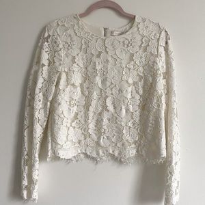 Delicate lace long sleeve crop